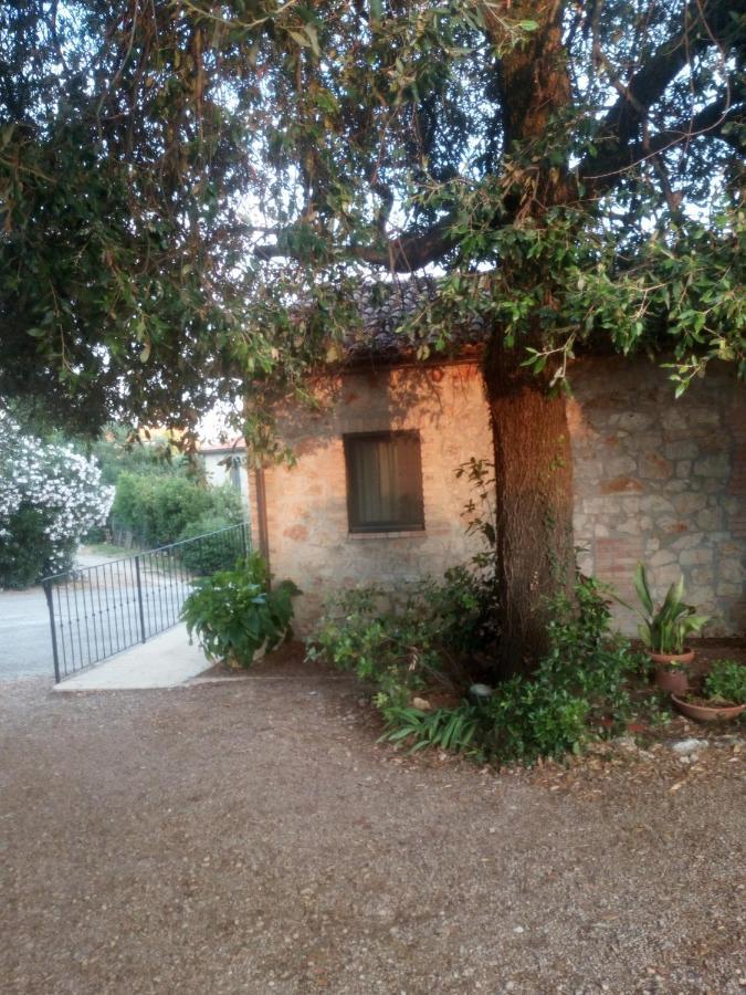 Case Cordovani Magliano in Toscana Exterior photo