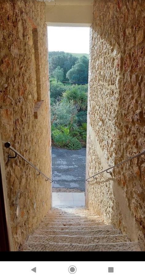 Case Cordovani Magliano in Toscana Exterior photo