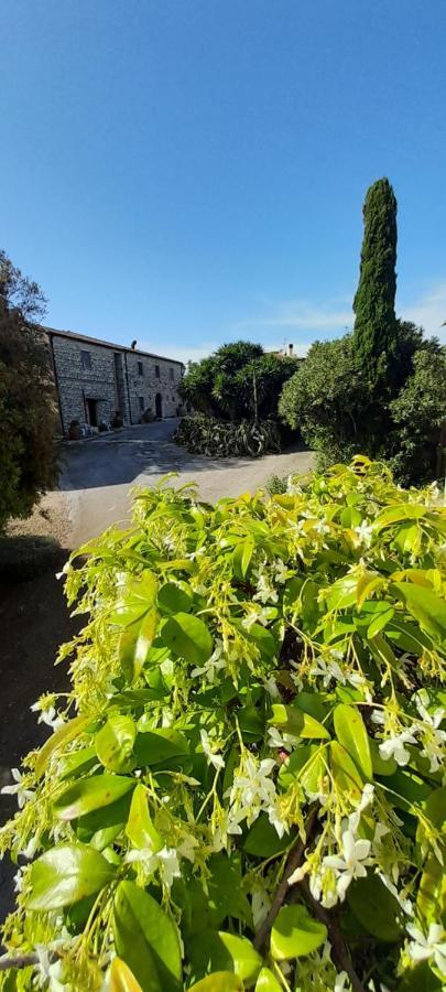 Case Cordovani Magliano in Toscana Exterior photo