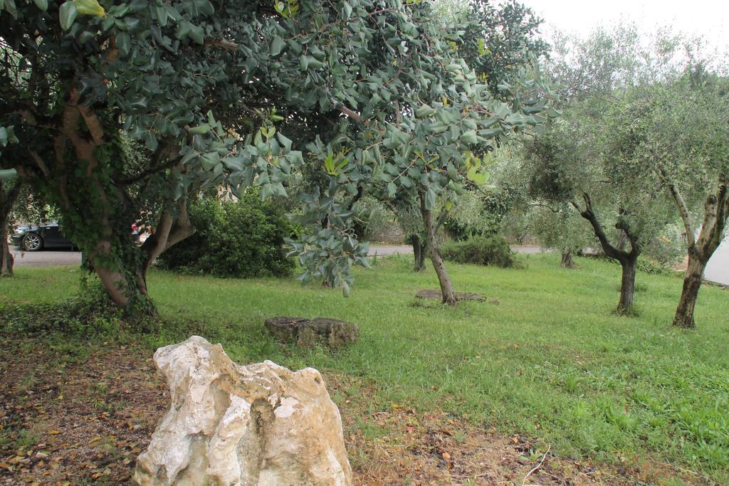 Case Cordovani Magliano in Toscana Exterior photo
