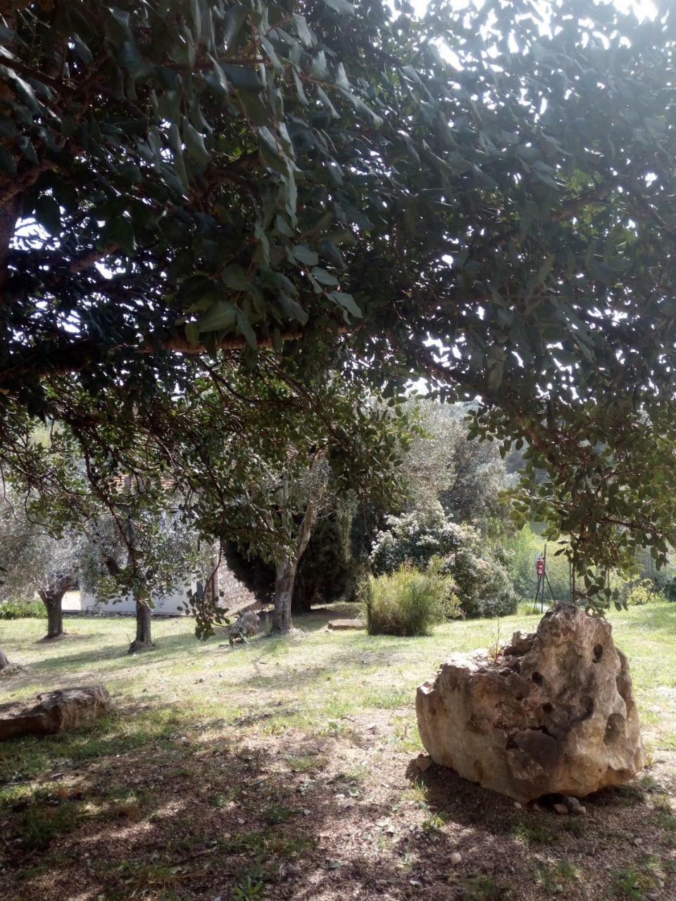Case Cordovani Magliano in Toscana Exterior photo